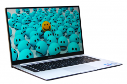 Honor MagicBook Pro HBL-W29
