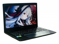 Ноутбук Acer TravelMate 259-MG5317