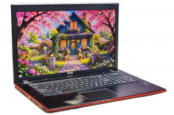 Ноутбук MSI GE70 2PE-456RU