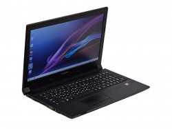Ноутбук Lenovo B50-45 (20388).