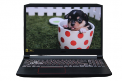 Acer Nitro 5 (AN515-55-707X)