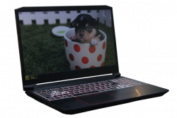 Acer Nitro 5 (AN515-55-707X)