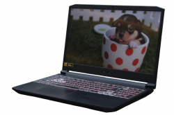 Acer Nitro 5 (AN515-55-707X)