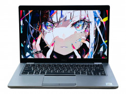 Dell Latitude 54-10