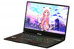 MSI GP75 Leopard 9SE-455CN