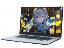 Ноутбук Huawei MateBook D 15 BoM-WFQ9 (р)