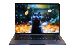 HUAWEI MateBook 14 FLMH-X