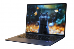 HUAWEI MateBook 14 FLMH-X