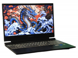 Ноутбук Hasee S8-DA5NS