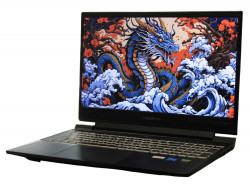Ноутбук Hasee S8-DA5NS
