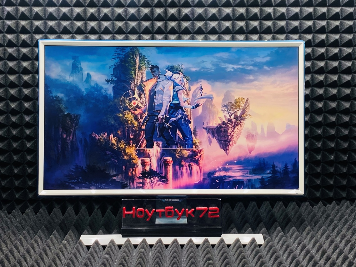 Монитор Samsung S24E391HL