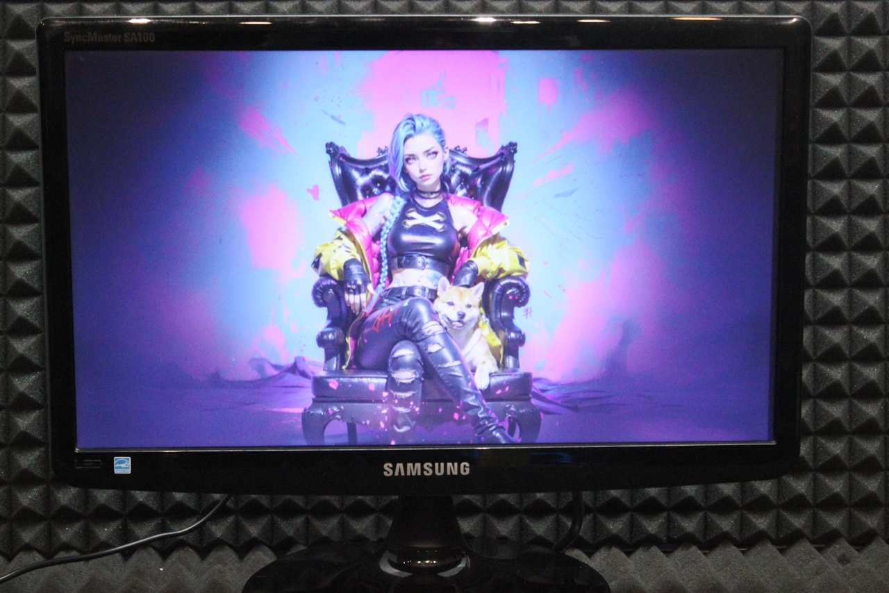 Монитор Samsung S19A100N