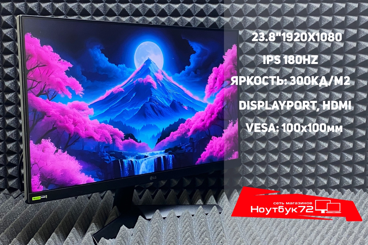 Монитор LG UltraGear 24GS60F-B