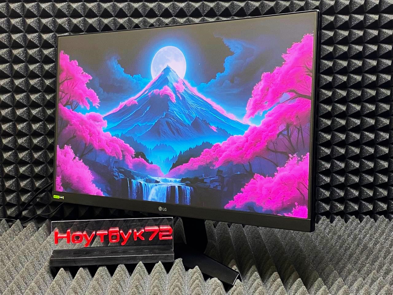 Монитор LG UltraGear 24GS60F-B