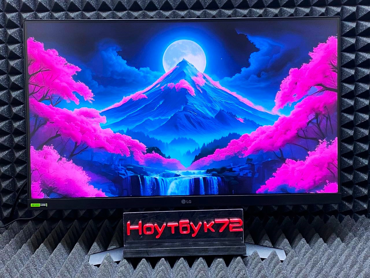 Монитор LG UltraGear 24GS60F-B