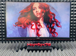 Игровой монитор AOC Gaming C24G1 24