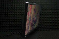 Монитор Benq Zowie XL2411B