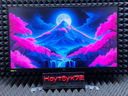 Монитор LG UltraGear 24GS60F-B