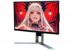 Монитор AOC AGON AG251FZ