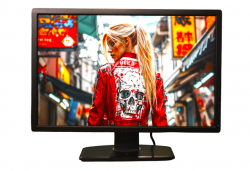 Монитор Dell/24