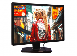 Монитор Dell/24