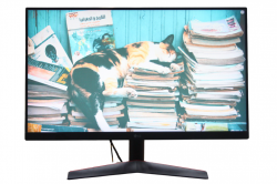LG UltraGear 24GN600