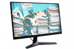 LG UltraGear 24GN600